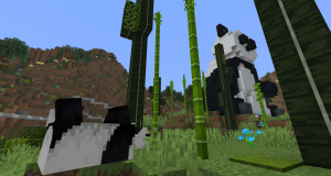MinrZooPanda.png